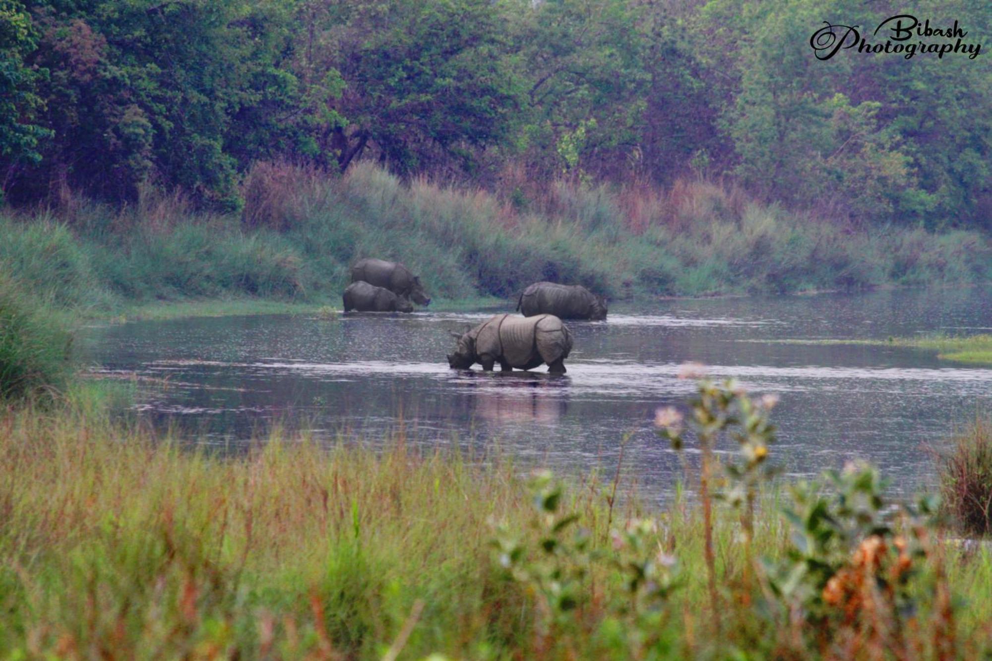 Mr. B'S Place Bardiya Eksteriør bilde
